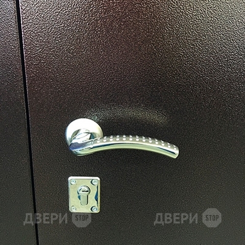 Входная металлическая Дверь Ратибор Форт Дуб Арден в Электроуглях