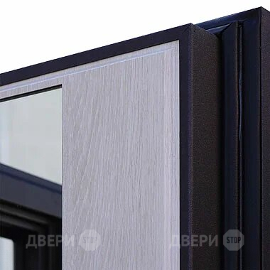 Входная металлическая Дверь Шелтер (SHELTER) Филадельфия Зеркало в Электроуглях