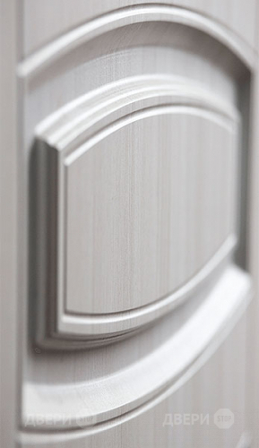 Входная металлическая Дверь Сударь МД-42 в Электроуглях