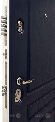 Входная металлическая Дверь Сударь МД-45 в Электроуглях