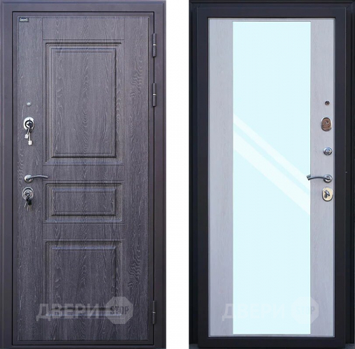 Дверь Шелтер (SHELTER) Филадельфия Зеркало в Электроуглях