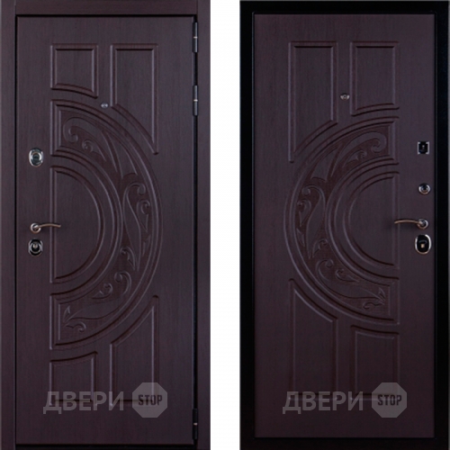 Дверь Меркурий в Электроуглях