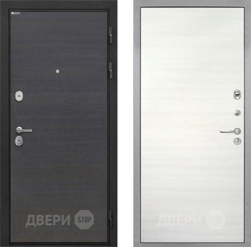 Дверь Интекрон (INTECRON) Гектор Эковенге Гладкая Дуб сильвер поперечный в Электроуглях